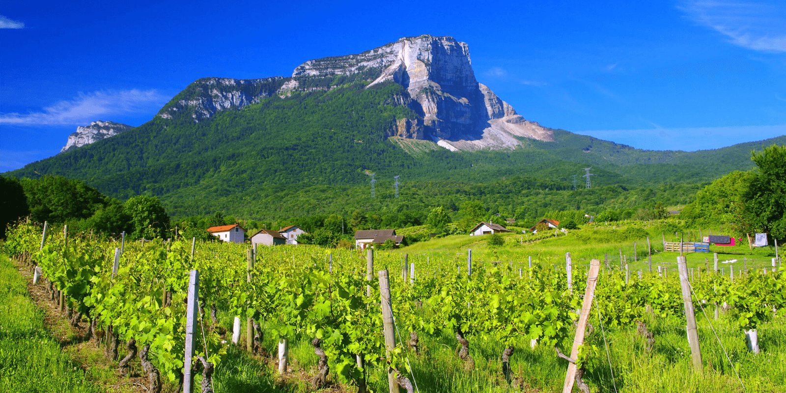 Jura And Savoie
