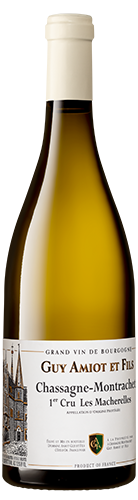 Chassagne-Montrachet burgundijas burgungy